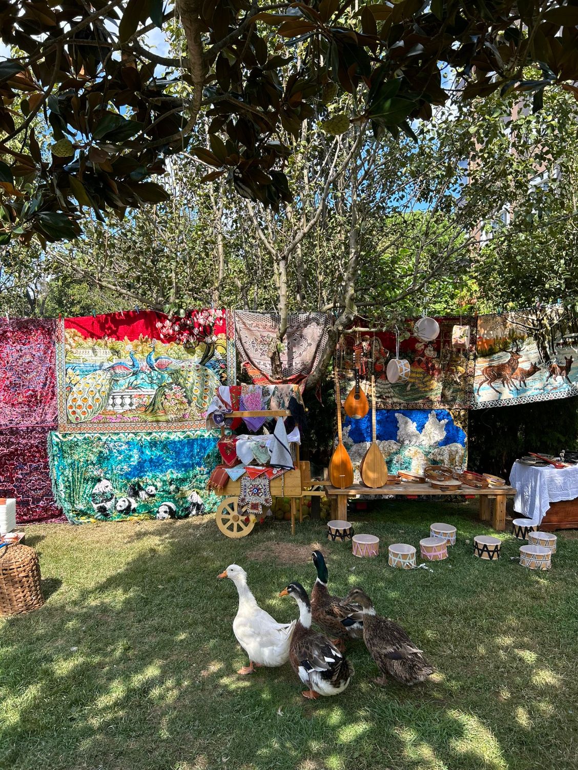 Doğada Bir Gün ve Türk Günü Etkinliği